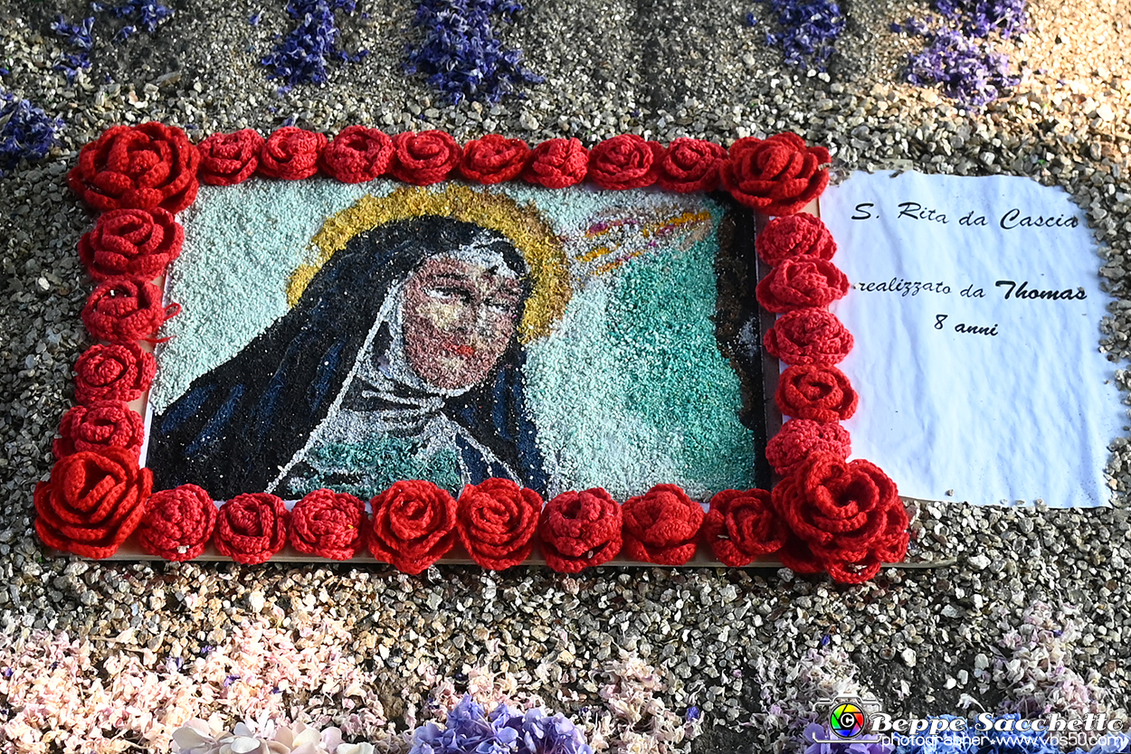 VBS_9873 - Infiorata Santuario della Madonnina di Villanova d'Asti 2024.jpg